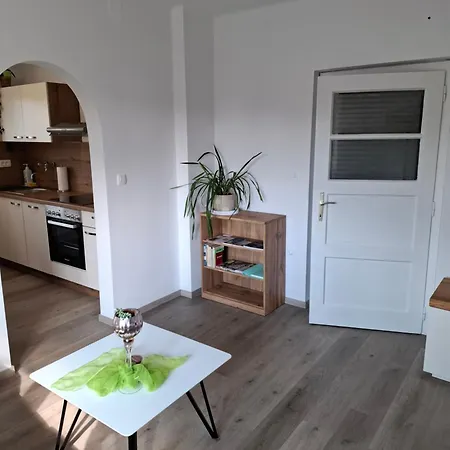 Apartma Loncar 公寓